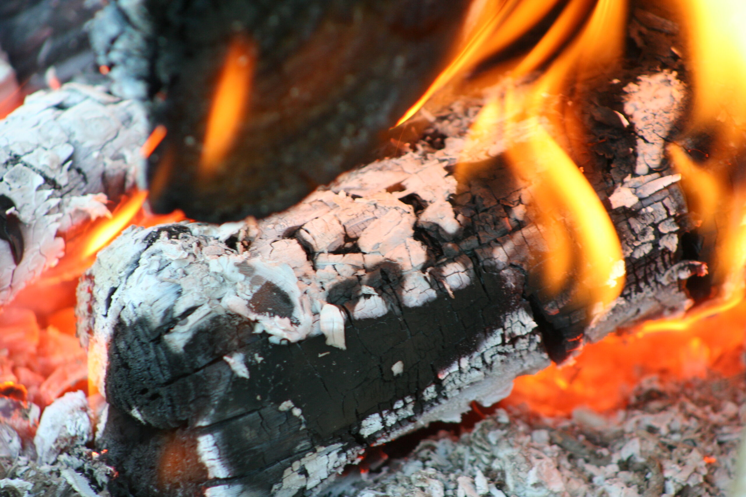 Pourquoi le bois brûle-t-il si facilement ?